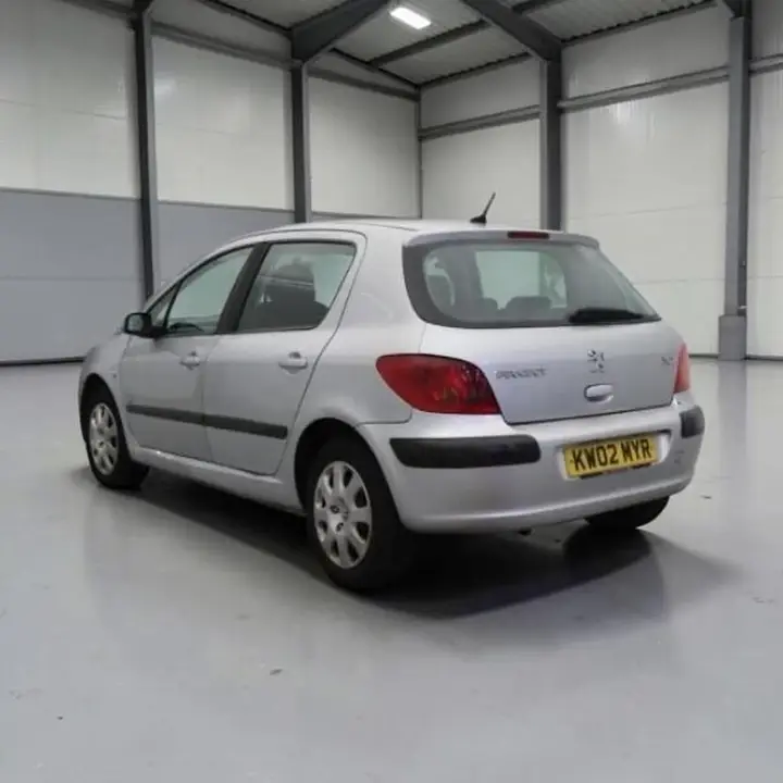 Peugeot 307 2002 photo 5