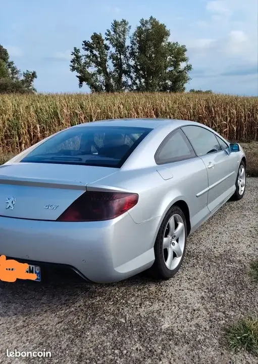 Peugeot 407 2007 photo 2