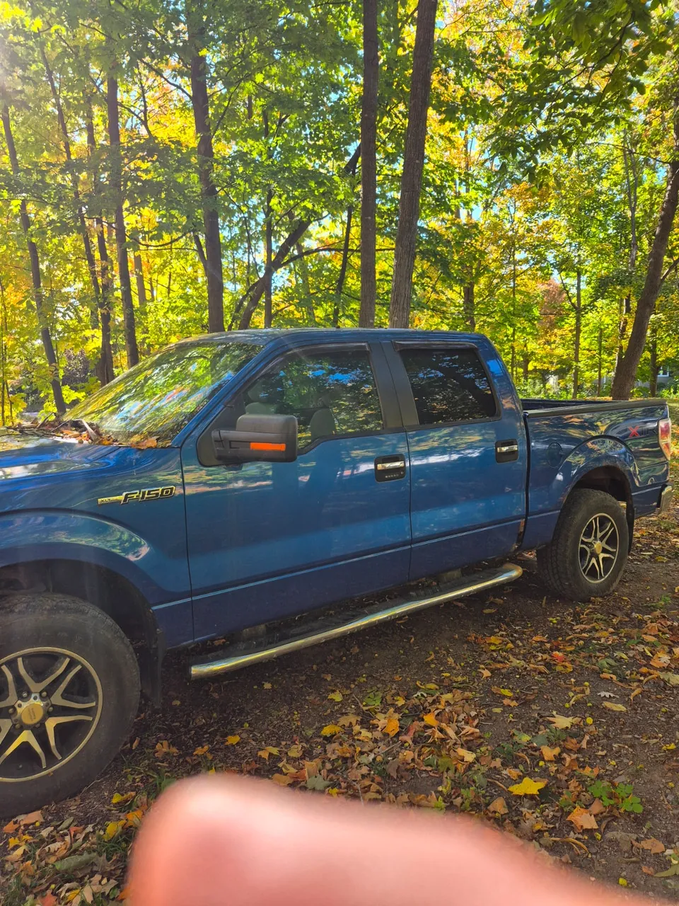 Ford F-150 2013 photo 3