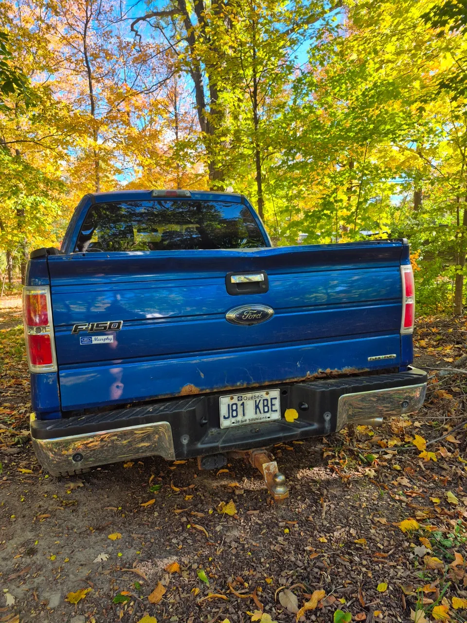 Ford F-150 2013 photo 2