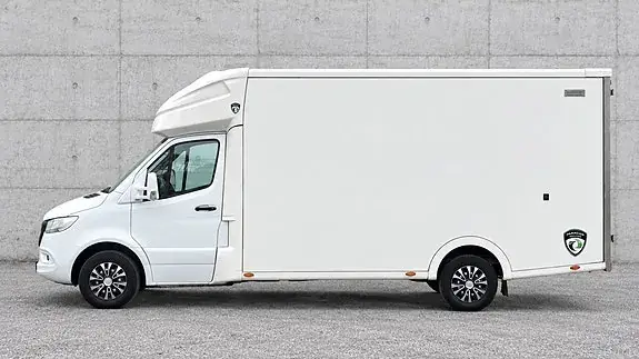 Mercedes-Benz Sprinter 2021 photo 2