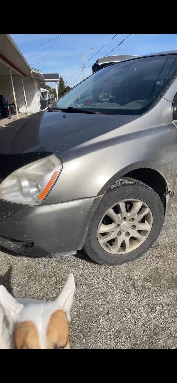 Kia Sedona 2010 photo 2