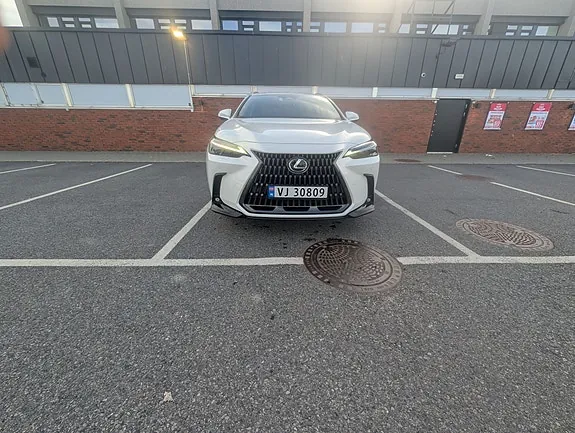 Lexus Nx450H+ 2022 photo 3