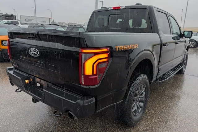 Ford F-150 2024 photo 5