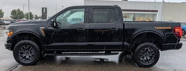 Ford F-150 2024 photo 2