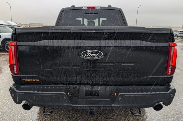 Ford F-150 2024 photo 4