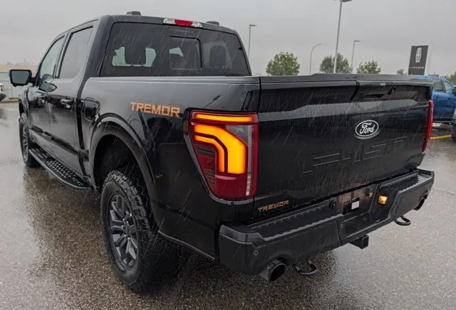 Ford F-150 2024 photo 3
