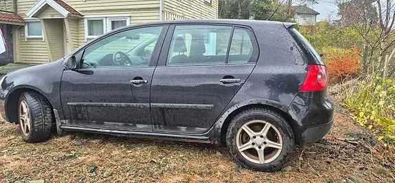 Volkswagen Golf 5 2008 photo 2
