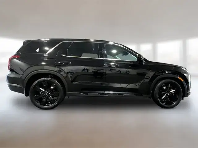 Hyundai Palisade 2025 photo 4