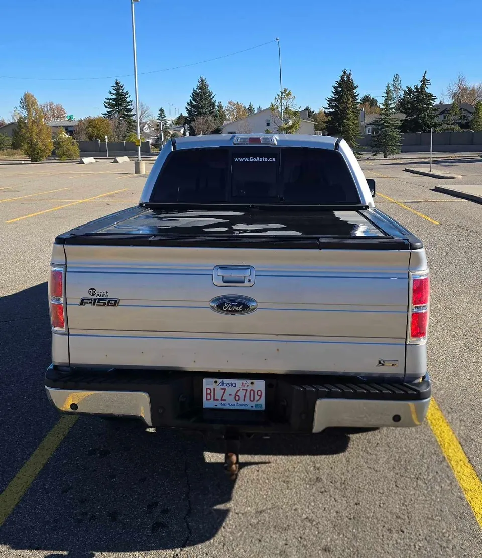Ford F-150 2010 photo 3