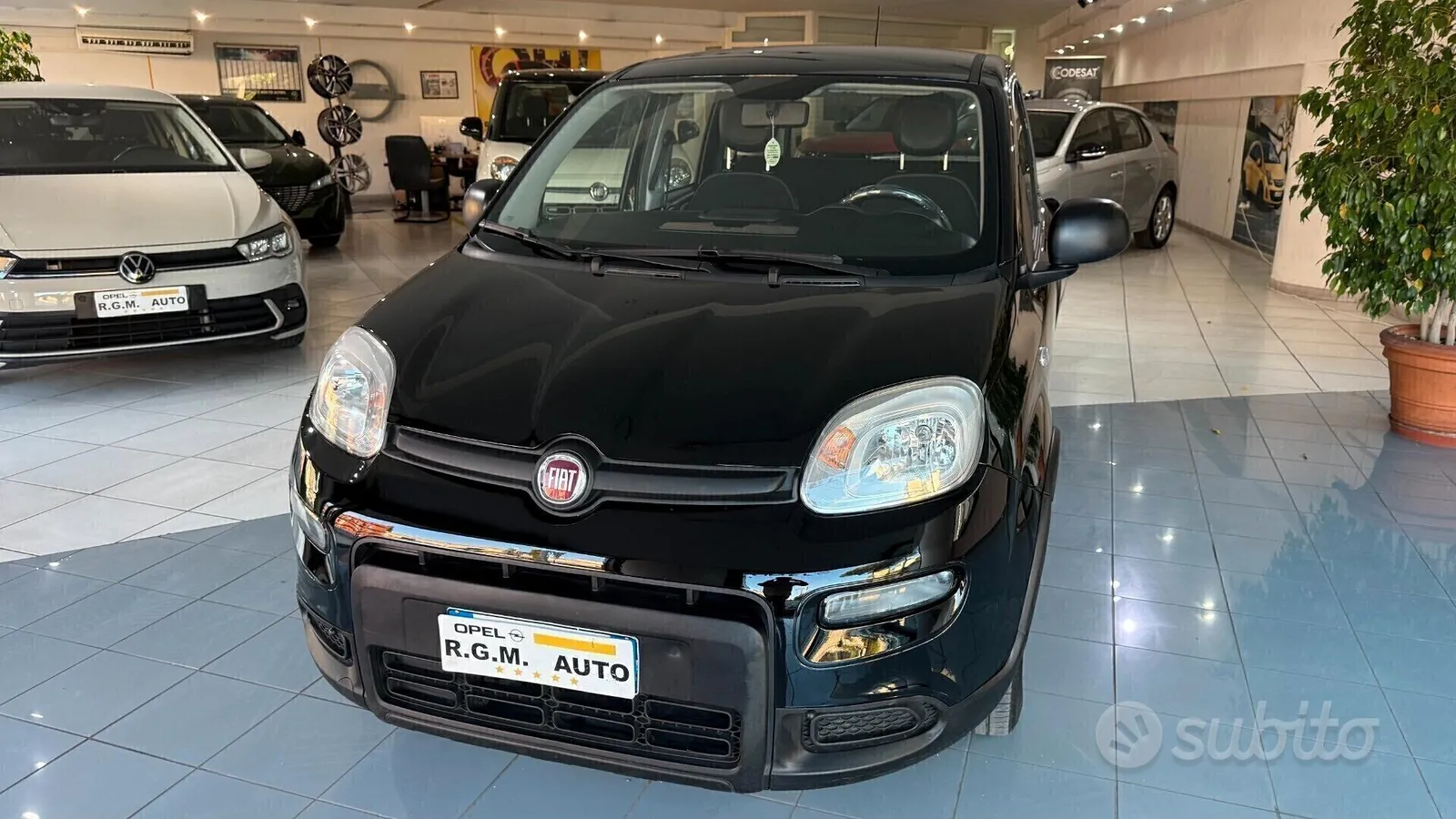 Fiat Panda 2023 photo 3