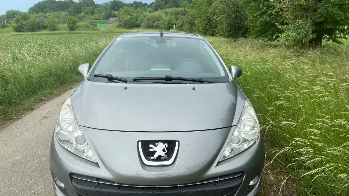 Peugeot 207 2011 photo 2