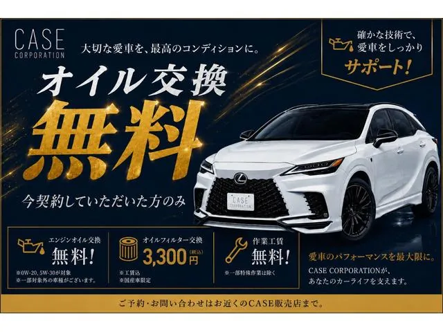Toyota Alfaard 2020 photo 4