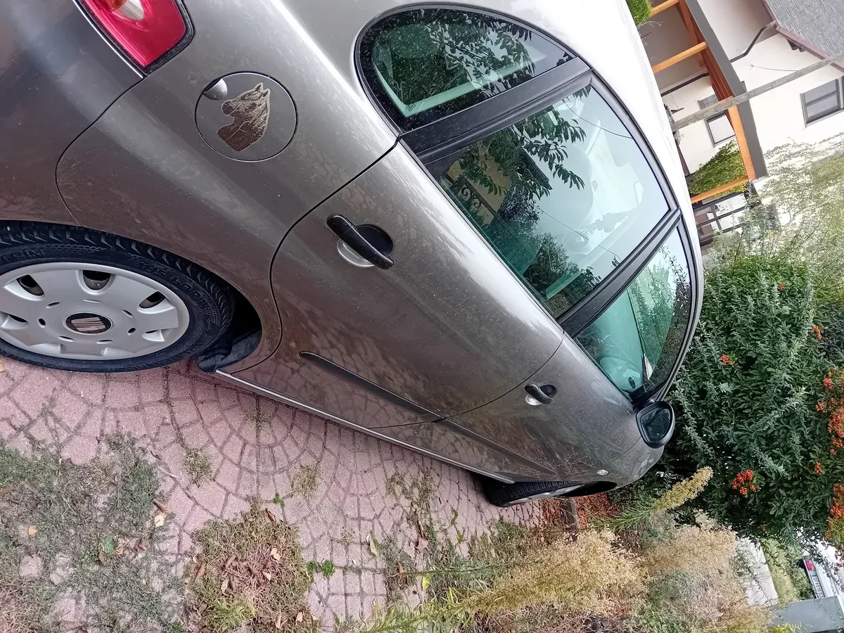 Seat Ibiza 2003 photo 2