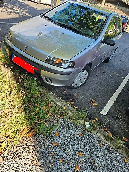 Fiat Punto 2010 photo 2