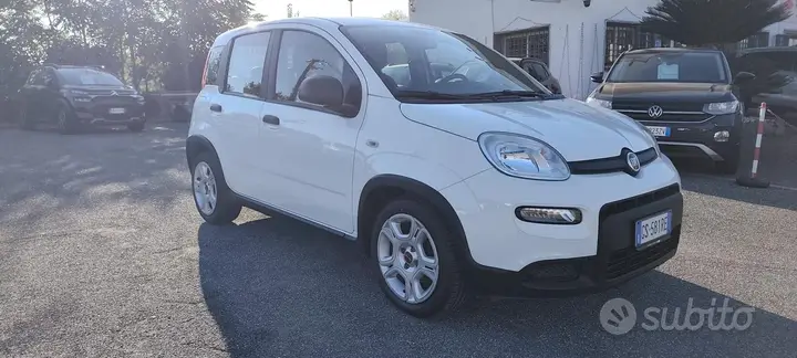 Fiat Panda 2024 photo 2
