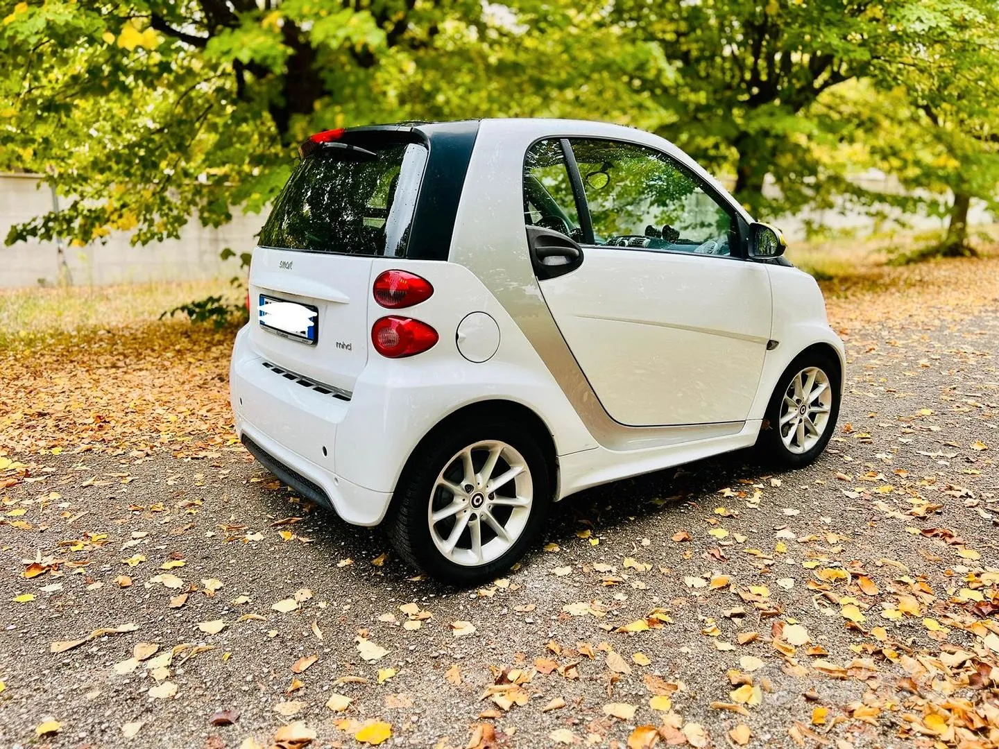 Smart Fortwo 2013 photo 5