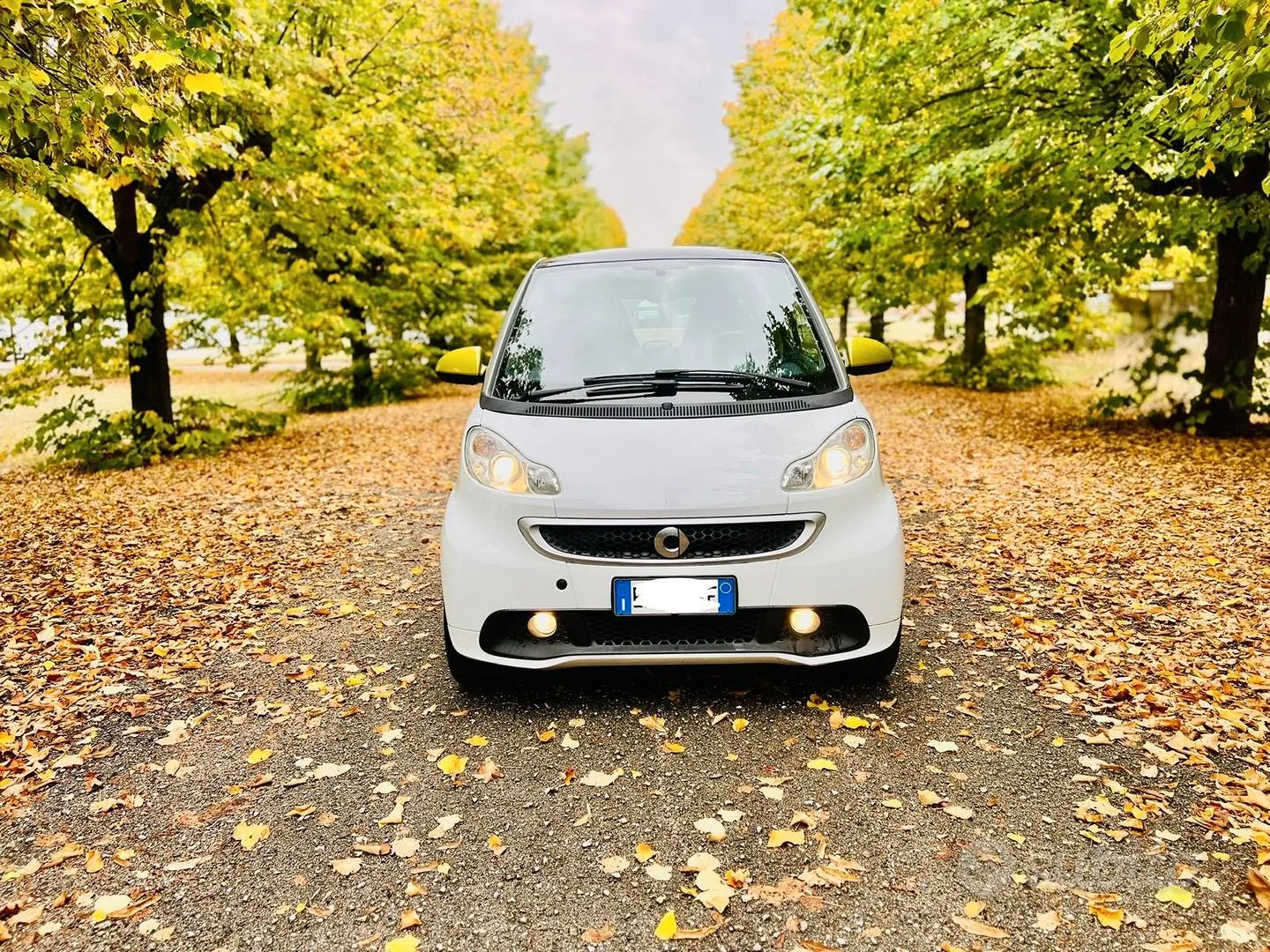 Smart Fortwo 2013 photo 2