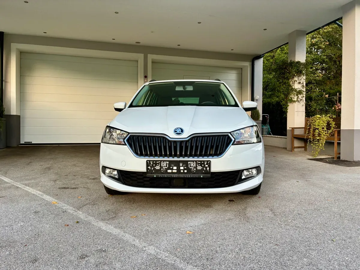 Skoda Fabia 2019 photo 2