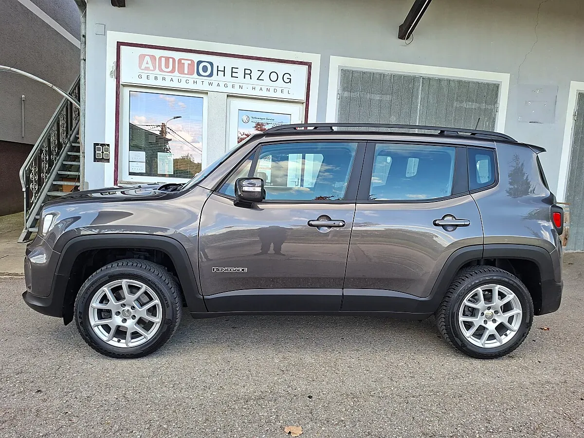 Jeep Renegade 2019 photo 2