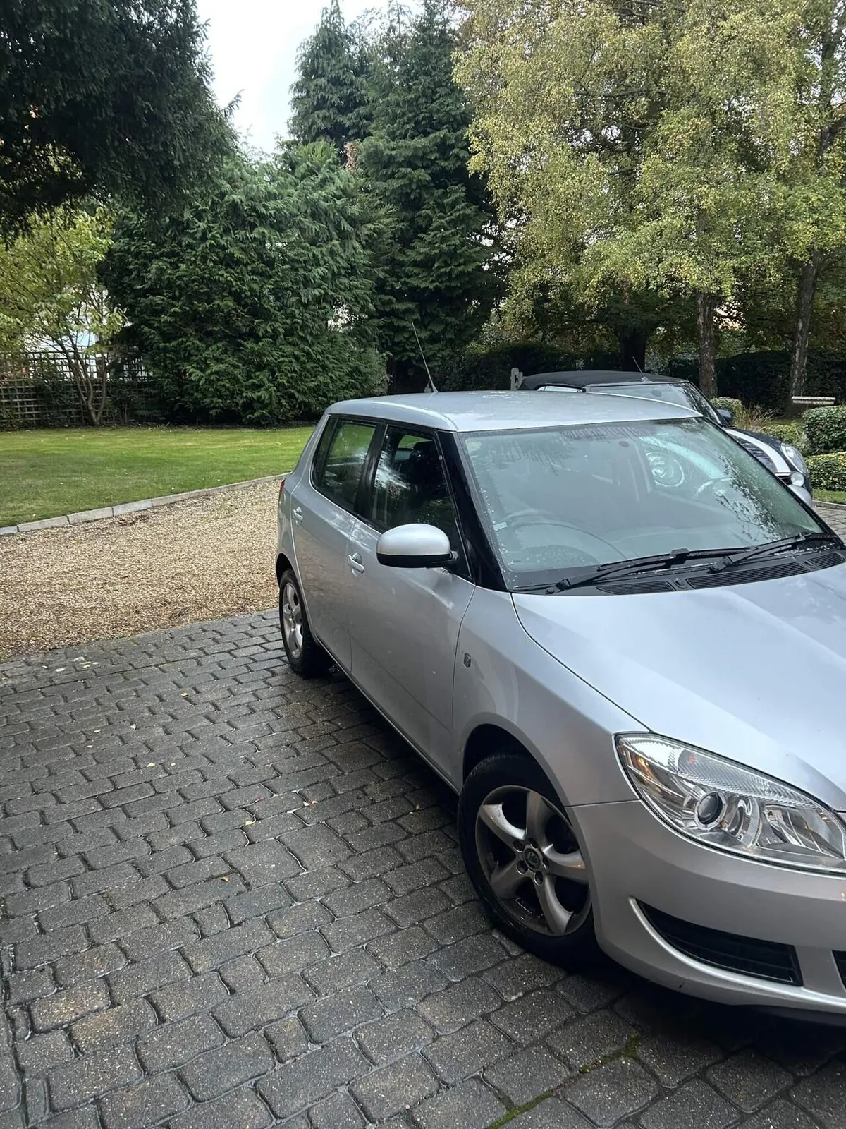 Skoda Fabia 2010 photo 2