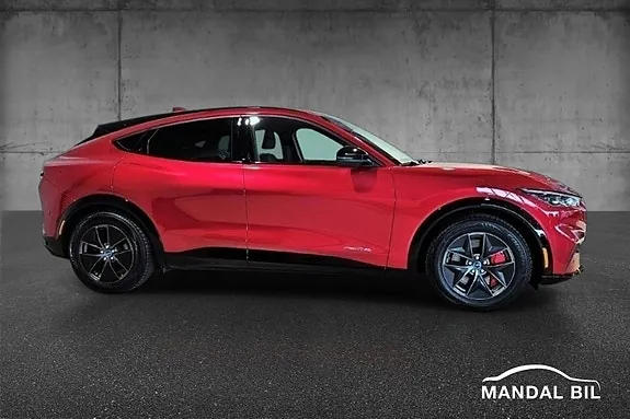 Ford Mustang Mach-E 2022 photo 3