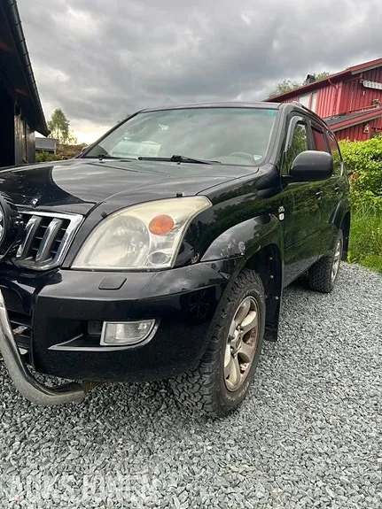 Toyota Land Cruiser 2007 photo 4