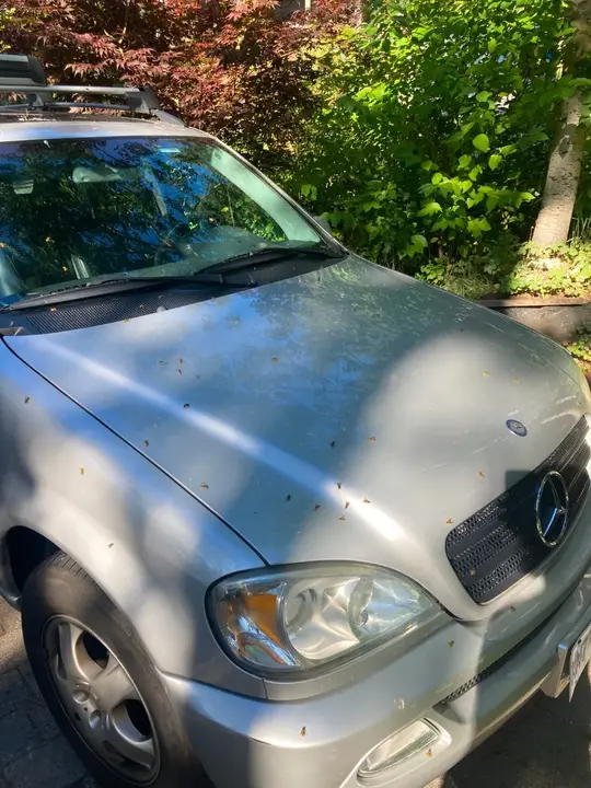 Mercedes-Benz Ml350 2004 photo 2