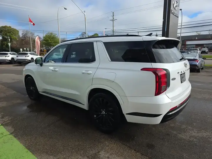Hyundai Palisade 2025 photo 5