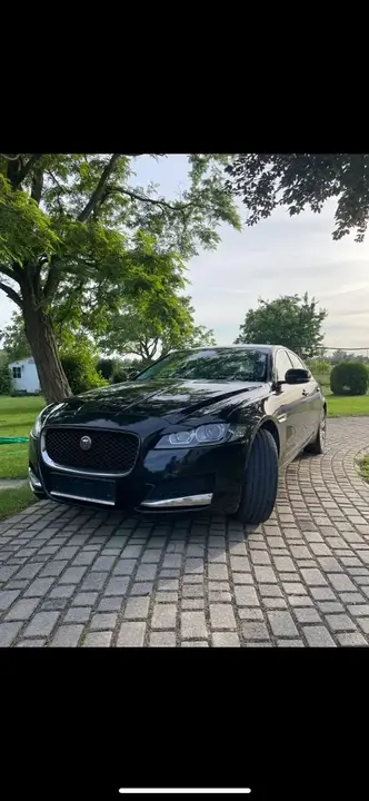 Jaguar Xf 2017 photo 2