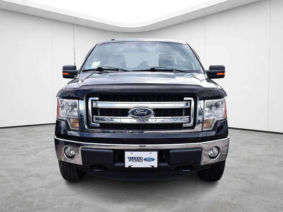 Ford F-150 2014 photo 4