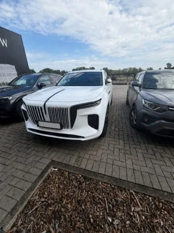 Hongqi E-Hs9