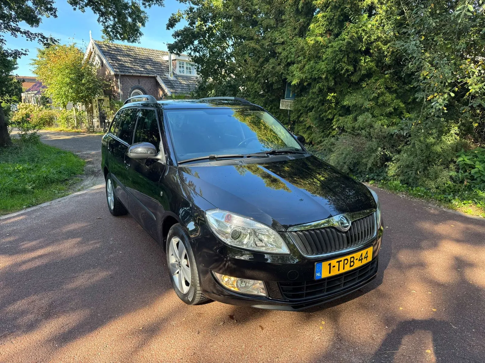 Skoda Fabia Combi 2014 photo 3