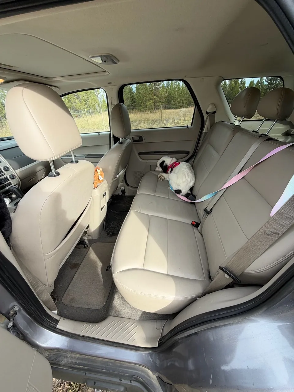 Ford Escape 2008 photo 3