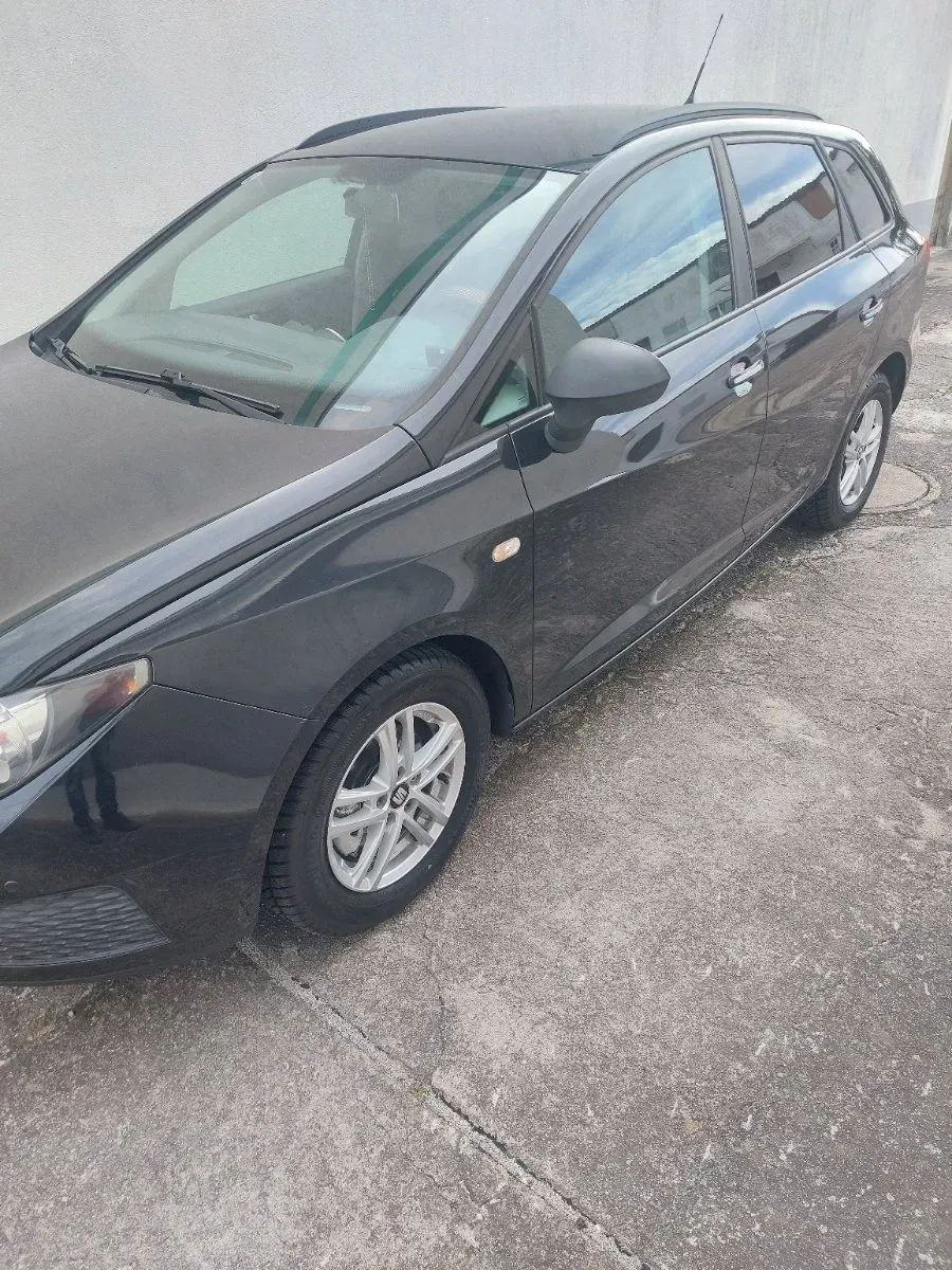 Seat Ibiza 2010 photo 2
