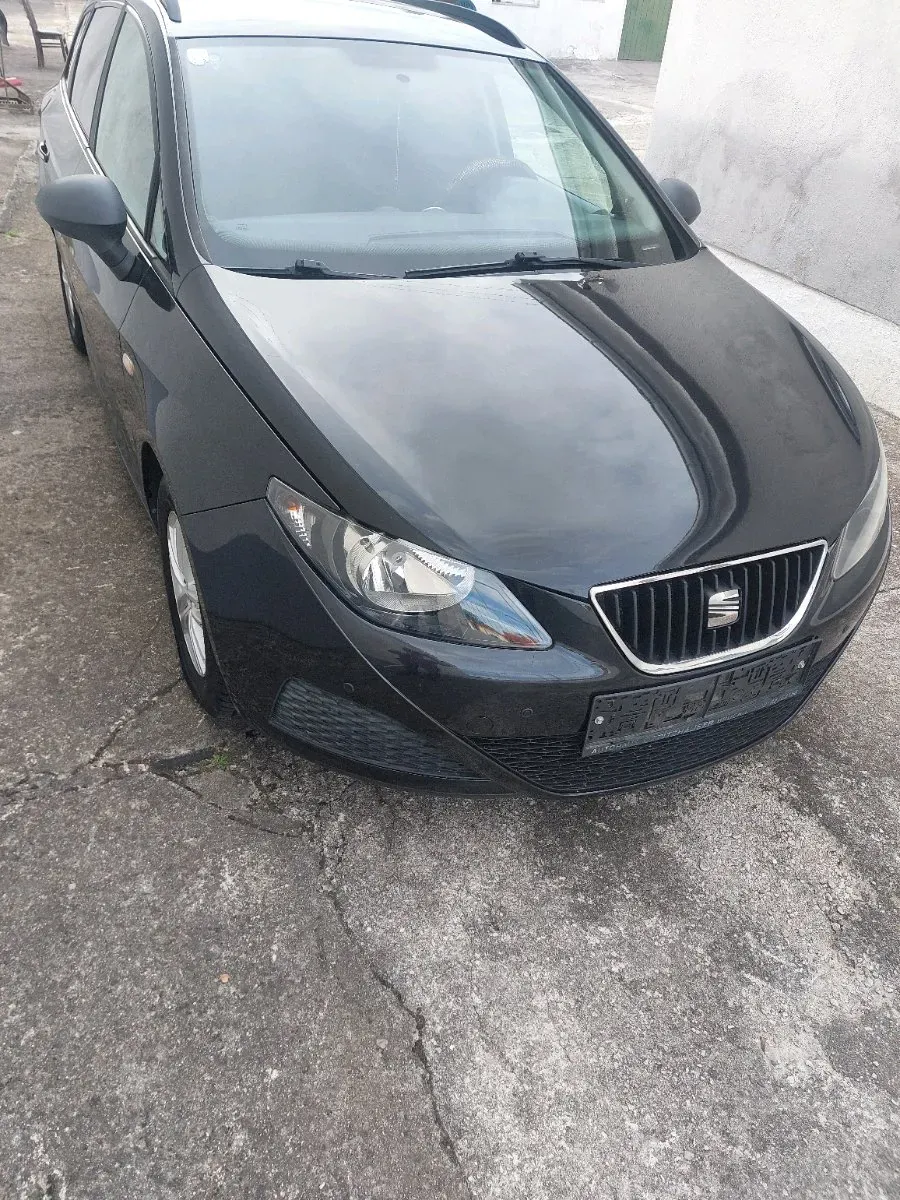 Seat Ibiza 2010 photo 3