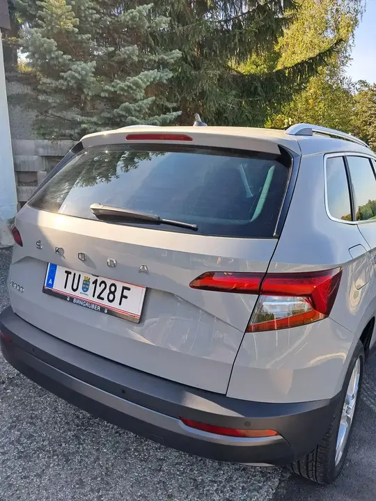 Skoda Karoq 2020 photo 2
