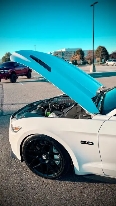 Ford Mustang 2015 photo 3