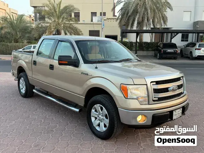 Ford F-150 2015 photo 4