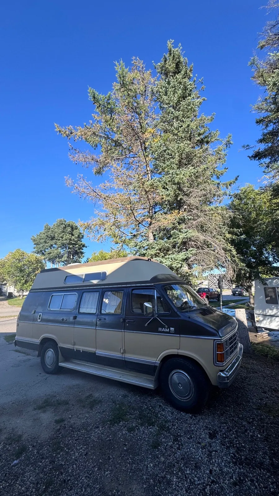Dodge Ram Van 1981 photo 3