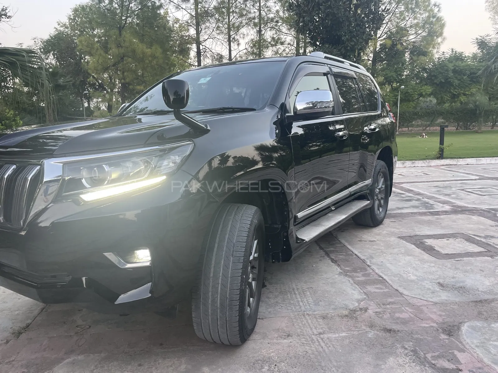 Toyota Prado