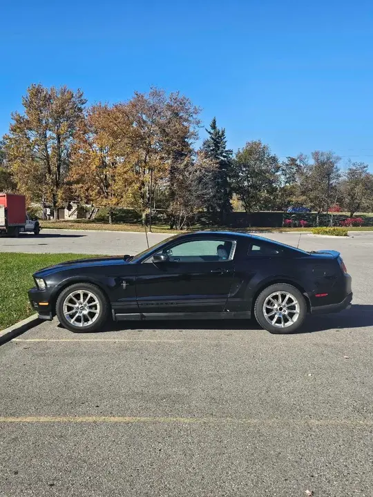 Ford Mustang 2010 photo 5