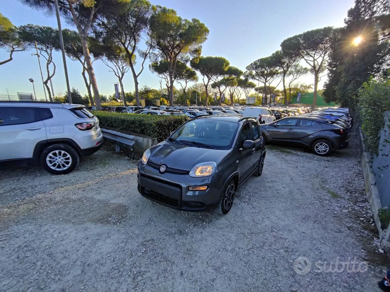 Fiat New Panda