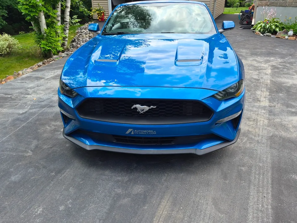 Ford Mustang 2019 photo 2