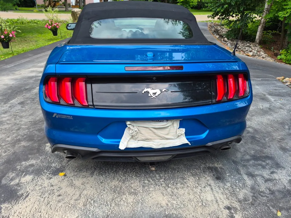 Ford Mustang 2019 photo 5