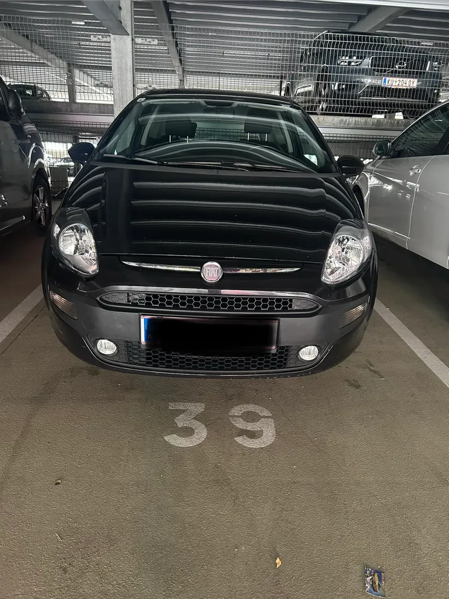 Fiat Punto 2010 photo 2