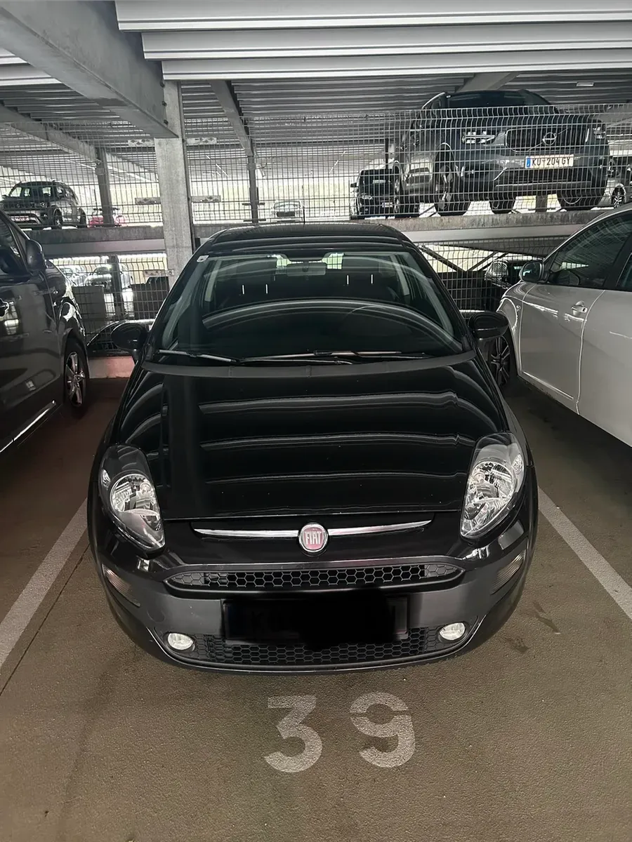 Fiat Punto 2010 photo 3