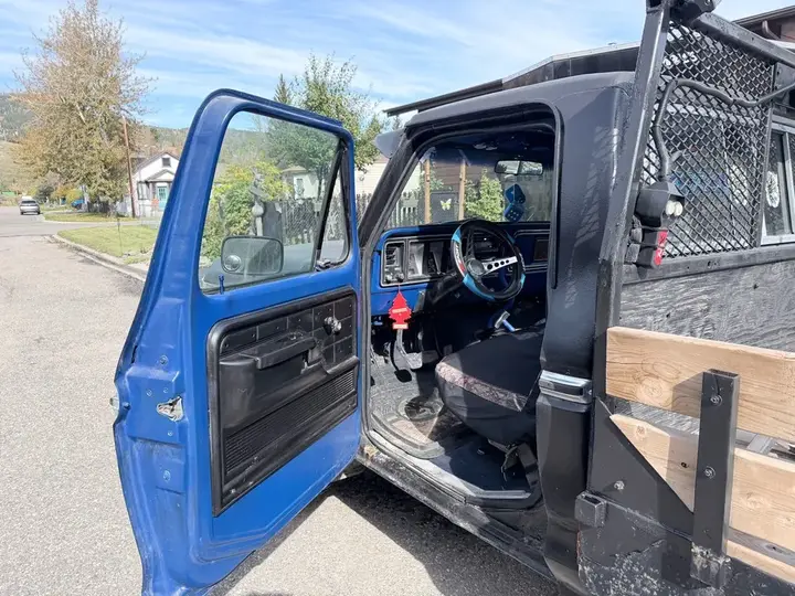 Ford F250 1979 photo 3