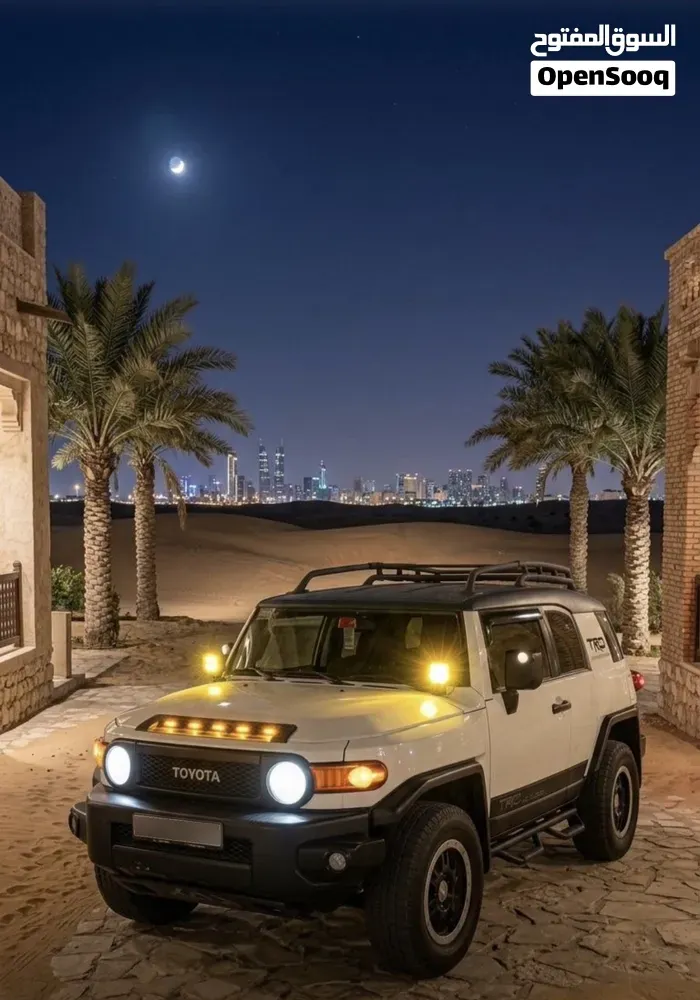 Toyota 4 Runner 2009 photo 3