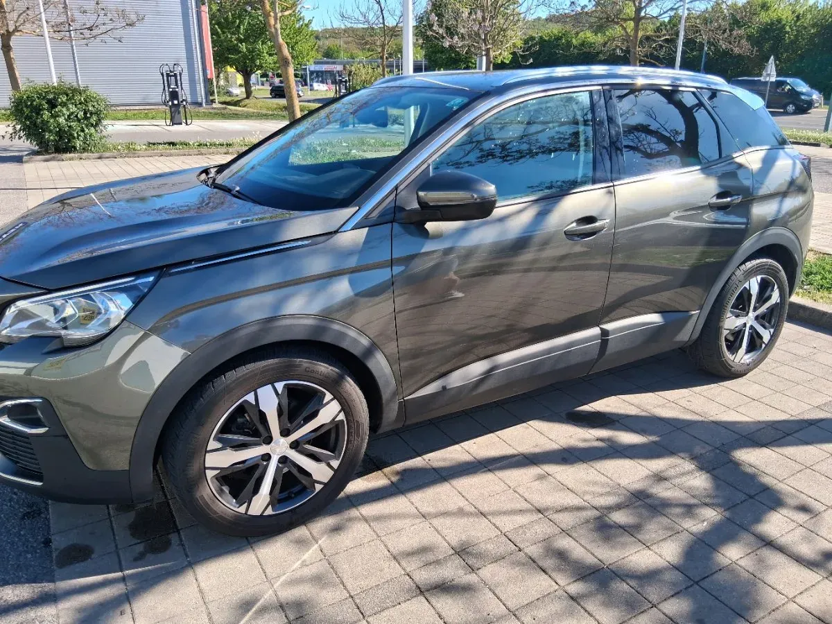 Peugeot 3008 2019 photo 2